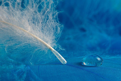 Drop White Modern Wood Framed Art Print with Double Matting by Pavlasek, Tom