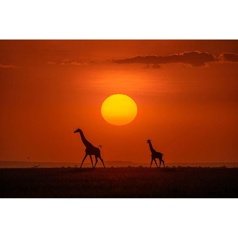 Giraffes In The Sunset Gold Ornate Wood Framed Art Print with Double Matting by Zhu, Hua