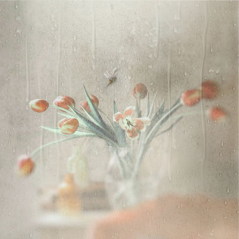 Unexpected Rain White Modern Wood Framed Art Print with Double Matting by Devos, Delphine