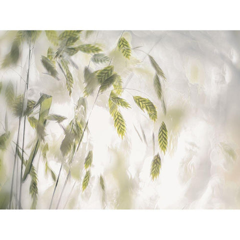 Grass Blades Black Modern Wood Framed Art Print by Talen, Nel