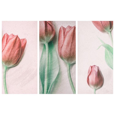 Red Elegance White Modern Wood Framed Art Print by Devos, Delphine