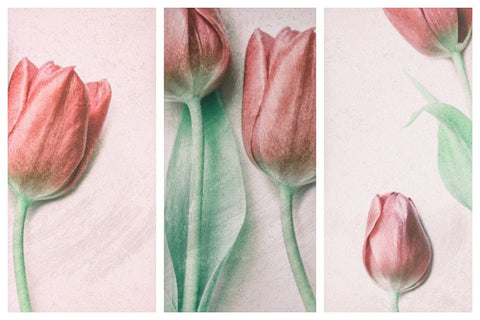 Red Elegance Black Ornate Wood Framed Art Print with Double Matting by Devos, Delphine