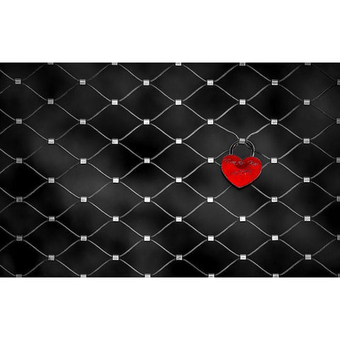 Love Lock Black Modern Wood Framed Art Print with Double Matting by Khan, Raju