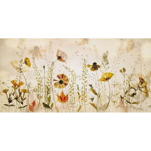 In The Field... Black Modern Wood Framed Art Print with Double Matting by Talen, Nel