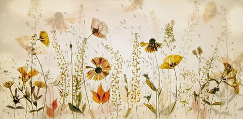 In The Field... White Modern Wood Framed Art Print with Double Matting by Talen, Nel