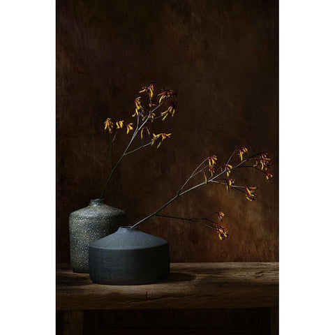 Still Life With Oker Flowers Black Modern Wood Framed Art Print with Double Matting by Dingemans, Saskia