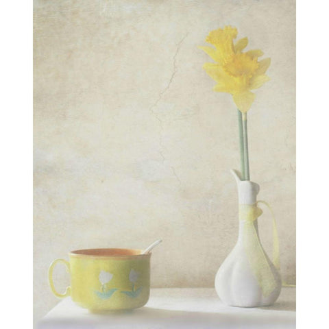 Daffodils White Modern Wood Framed Art Print by Devos, Delphine