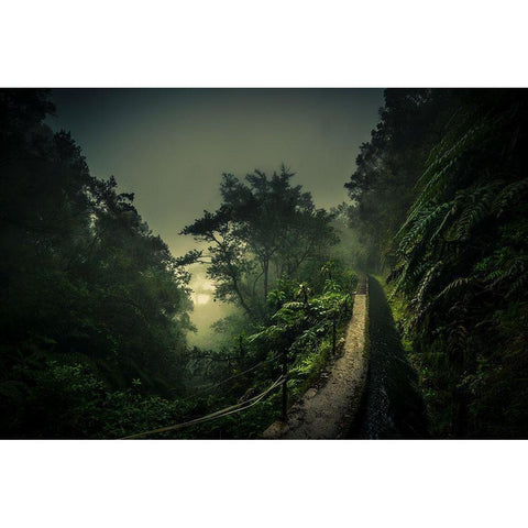 Levada Walk Black Modern Wood Framed Art Print with Double Matting by Weber, Roland