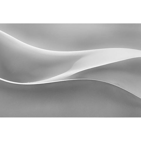Restless White Modern Wood Framed Art Print by Asghar Alimoradi, Ali