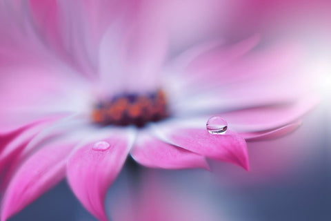 Untitled White Modern Wood Framed Art Print with Double Matting by Nan, Juliana