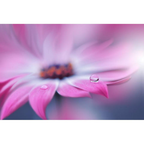 Untitled Black Modern Wood Framed Art Print by Nan, Juliana