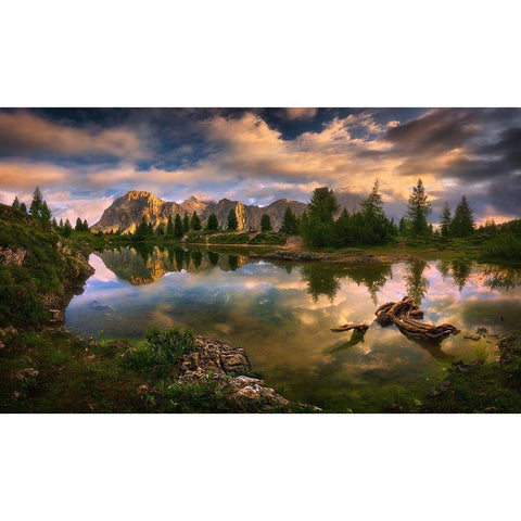 Limides... Black Modern Wood Framed Art Print with Double Matting by Browko, Krzysztof