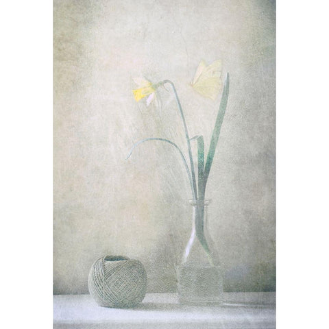 Spring At Home Black Modern Wood Framed Art Print with Double Matting by Devos, Delphine