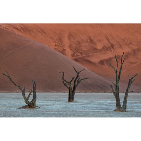 Deadvlei Black Modern Wood Framed Art Print with Double Matting by Ruoppolo, Luigi