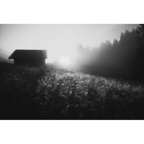 Sun Licks Dew Black Modern Wood Framed Art Print by Schleicher-Schwarz, Roswitha