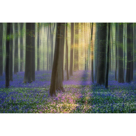 Daydreaming Of Bluebells Gold Ornate Wood Framed Art Print with Double Matting by Popan, Adrian