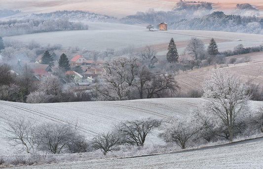 Image Only