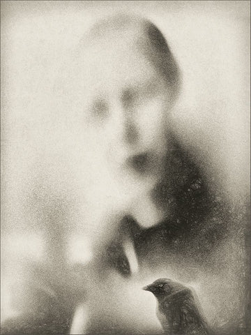 Malicious Bird White Modern Wood Framed Art Print with Double Matting by Claes, Gilbert