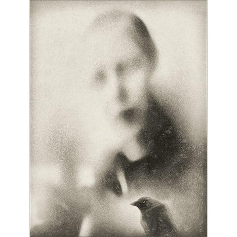 Malicious Bird White Modern Wood Framed Art Print by Claes, Gilbert