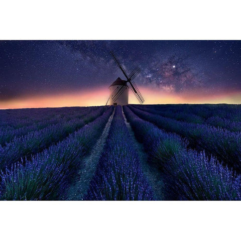 Lavender Night Black Modern Wood Framed Art Print with Double Matting by Antonio Trivino, Jose