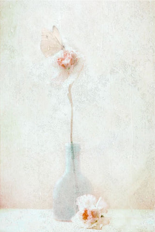 An Ephemeral Moment Black Ornate Wood Framed Art Print with Double Matting by Devos, Delphine