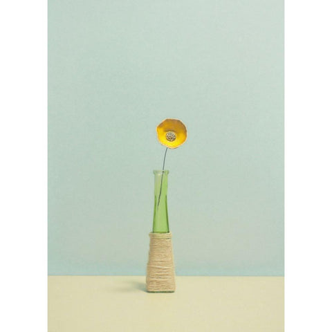 Flower Black Modern Wood Framed Art Print by Radecki, Lech