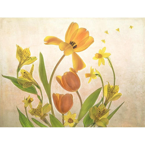 Mother White Modern Wood Framed Art Print by W., Catherine