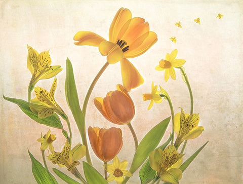 Mother White Modern Wood Framed Art Print with Double Matting by W., Catherine