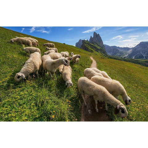 On The Way To Odle Mountains Gold Ornate Wood Framed Art Print with Double Matting by Krivec, Ales