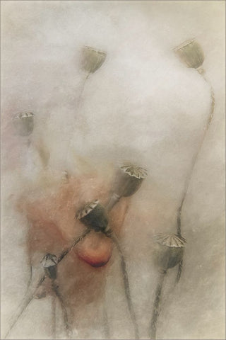 Hopeful Future White Modern Wood Framed Art Print with Double Matting by Claes, Gilbert