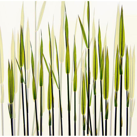 A New Beginning Black Modern Wood Framed Art Print with Double Matting by Talen, Nel