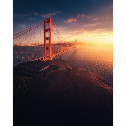 On The Edge Gold Ornate Wood Framed Art Print with Double Matting by George, David