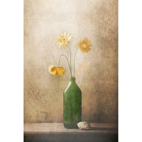 Daisies Black Modern Wood Framed Art Print with Double Matting by Devos, Delphine