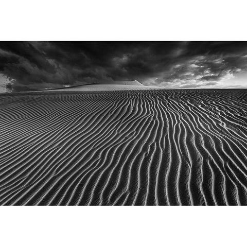 Lines Of Life.... Black Modern Wood Framed Art Print by Pascual, Miguel