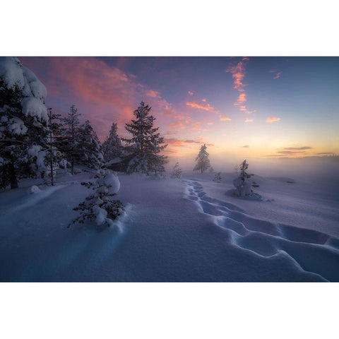 Winter Steps Gold Ornate Wood Framed Art Print with Double Matting by Henrik Skjelstad, Ole