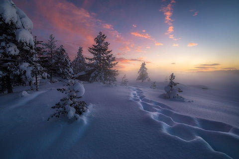 Winter Steps White Modern Wood Framed Art Print with Double Matting by Henrik Skjelstad, Ole