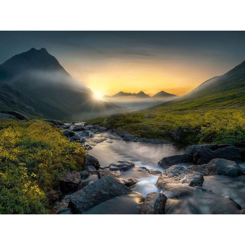 Dreaming Black Modern Wood Framed Art Print with Double Matting by Henrik Skjelstad, Ole