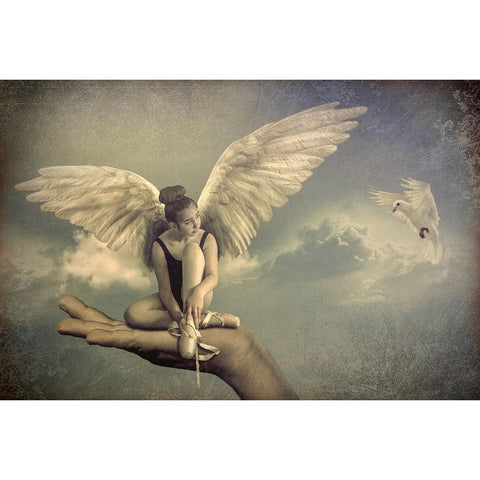 Spread Your Wings White Modern Wood Framed Art Print by Jos, Peeters