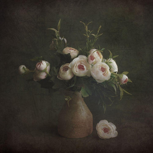 Image Only