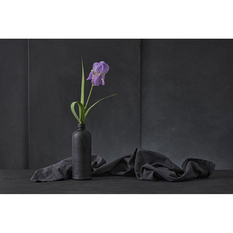 Iris Pallida White Modern Wood Framed Art Print by Verot, Christophe