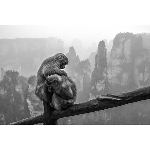 Look For Fleas Black Modern Wood Framed Art Print with Double Matting by Song, Gunarto