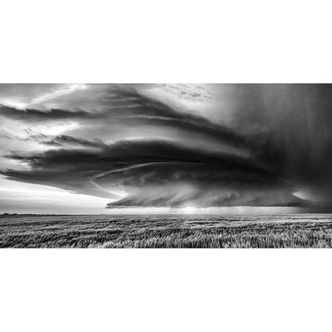 Kansas Black Modern Wood Framed Art Print with Double Matting by Darby, Rob