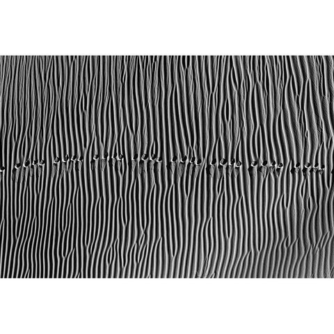 Untitled Black Modern Wood Framed Art Print with Double Matting by Momeni, Mohammadreza