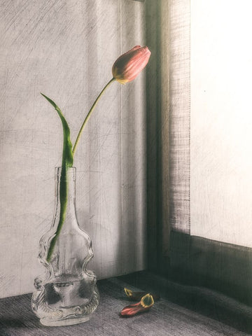 Melanchonic Mood White Modern Wood Framed Art Print with Double Matting by Giani, Cristiano