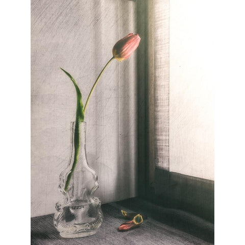 Melanchonic Mood White Modern Wood Framed Art Print by Giani, Cristiano