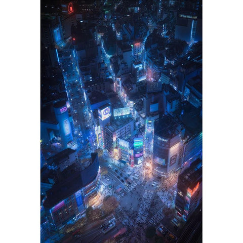 Flying Shibuya Black Modern Wood Framed Art Print with Double Matting by De La, Javier