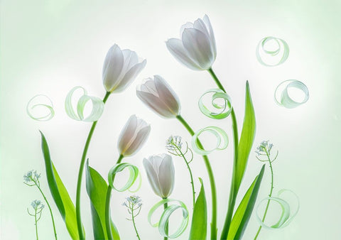 My Family White Modern Wood Framed Art Print with Double Matting by L., Binbin