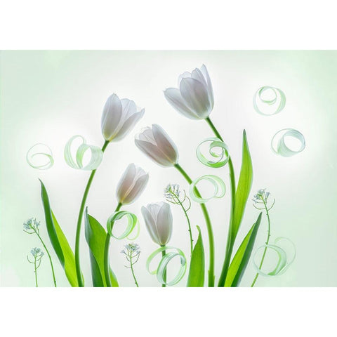 My Family Black Modern Wood Framed Art Print by L., Binbin