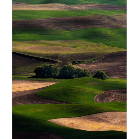 Rolling Dreams Black Modern Wood Framed Art Print with Double Matting by Langager, Ron