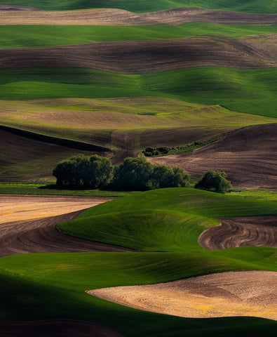 Rolling Dreams White Modern Wood Framed Art Print with Double Matting by Langager, Ron